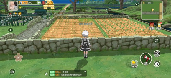 小森生活高效种田技巧分享