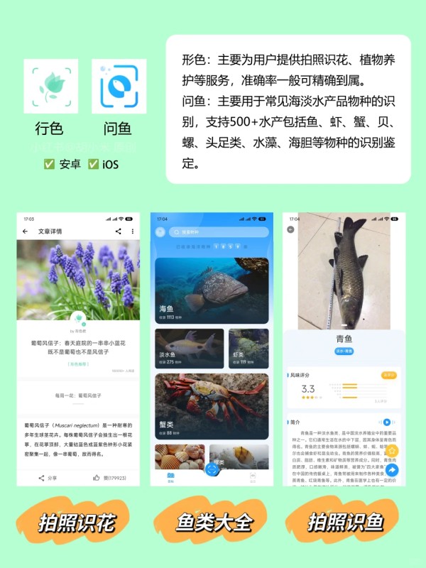 为什么你这么会玩？户外必备的21个App