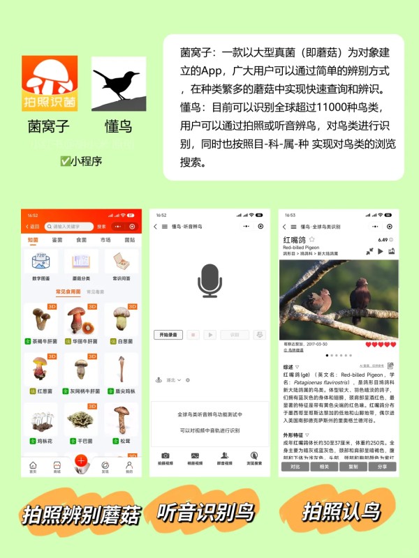 为什么你这么会玩？户外必备的21个App