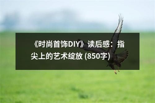 《时尚首饰DIY》读后感：指尖上的艺术绽放 (850字)