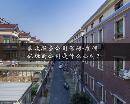 家政服务公司保姆-雇佣保姆的公司是什么公司？