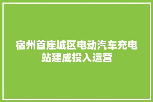 宿州首座城区电动汽车充电站建成投入运营 科技