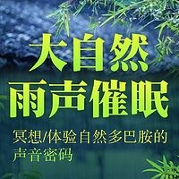 大自然雨声催眠|冥想|多巴胺分泌