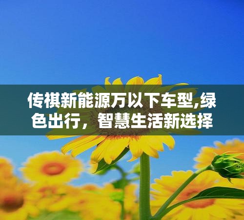 传祺新能源万以下车型,绿色出行，智慧生活新选择