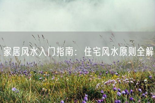 家居风水入门指南：住宅风水原则全解(图1)