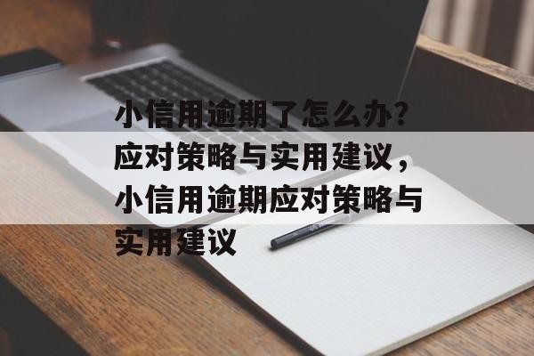 小信用逾期了怎么办？应对策略与实用建议，小信用逾期应对策略与实用建议