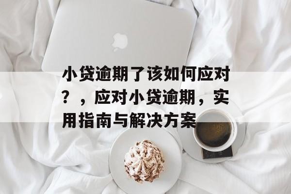 小贷逾期了该如何应对？，应对小贷逾期，实用指南与解决方案