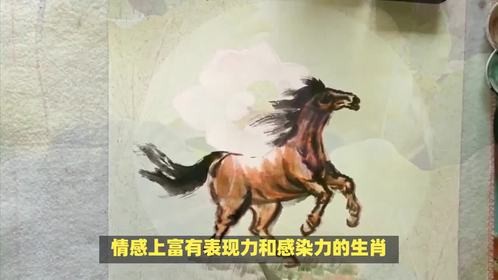 曲则有情正合拍是什么生肖？