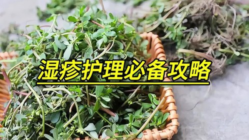 湿疹护理必备攻略，小秘诀大改变！