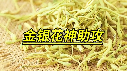 金银花神助攻，我的湿疹治愈实录分享！