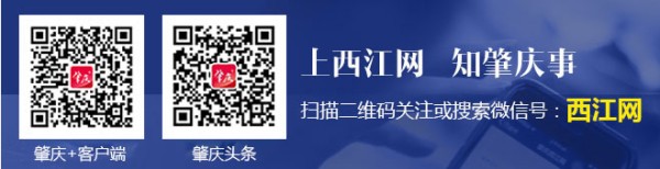 报社客户端及西江网微信二维码