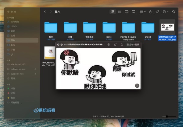 通过 macOS 快速查看功能预览文件