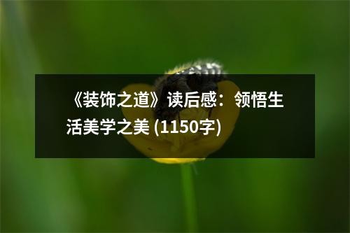 《装饰之道》读后感：领悟生活美学之美 (1150字)