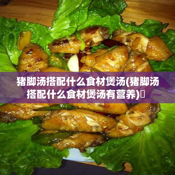 猪脚汤搭配什么食材煲汤(猪脚汤搭配什么食材煲汤有营养)✅ 