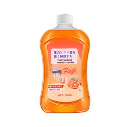 LANJIEXING 蓝洁星 拖地板清洁剂 瓷砖木地板清洁液 500ml