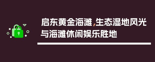 启东黄金海滩，生态湿地风光与海滩休闲娱乐胜地