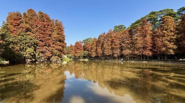 广州明后天早晨或迎降温最冷时段 下周二起大幅升温