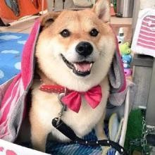 依赖是种病