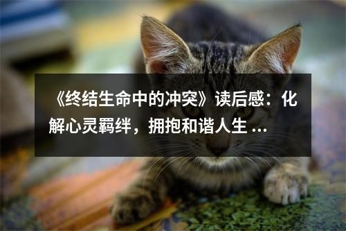 《终结生命中的冲突》读后感：化解心灵羁绊，拥抱和谐人生 (850字)