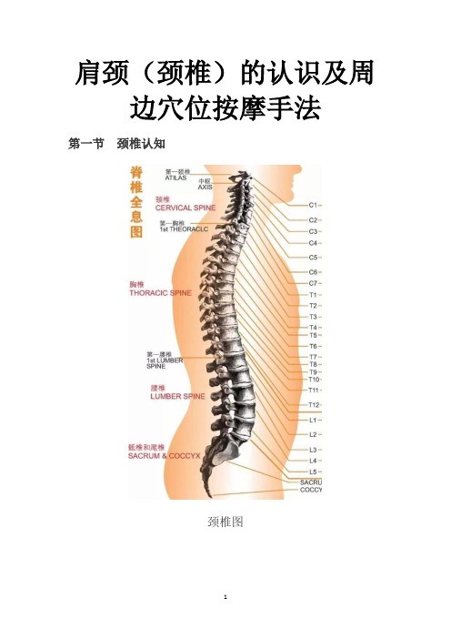 肩颈(颈椎)的认识及肩颈病症穴位的按摩手法