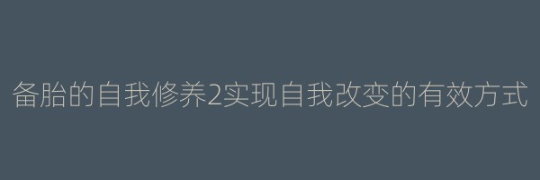 备胎的自我修养2实现自我改变的有效方式