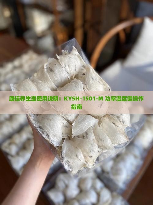 康佳养生壶使用说明：KYSH-1501-M 功率温度键操作指南