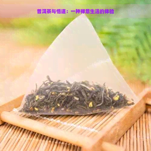 普洱茶与悟道：一种禅意生活的体验