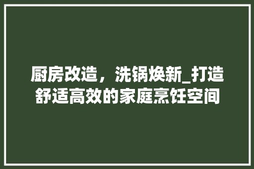 厨房改造，洗锅焕新_打造舒适高效的家庭烹饪空间 家庭规划