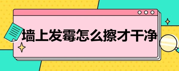 墙上发霉怎么擦才干净