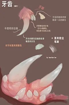 #绘画参考##汉化# 画牙齿的用色和用笔的一些tips~ （by boarbarian）