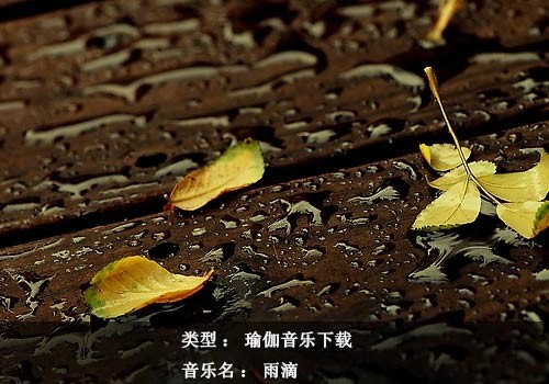 瑜伽音乐下载：雨滴