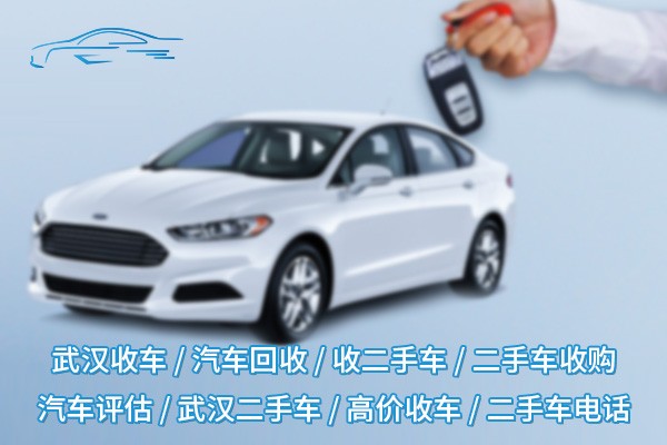 车之嘉汽车1.jpg