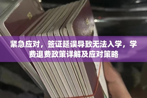 紧急应对，签证延误导致无法入学，学费退费政策详解及应对策略