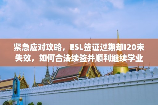 紧急应对攻略，ESL签证过期却I20未失效，如何合法续签并顺利继续学业？