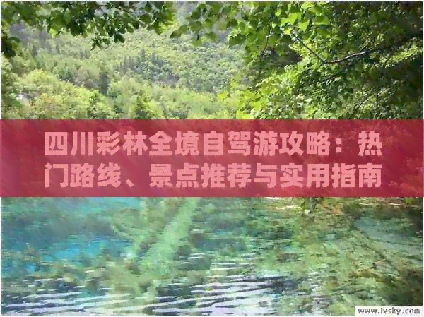 四川彩林全境自驾游攻略：热门路线、景点推荐与实用指南