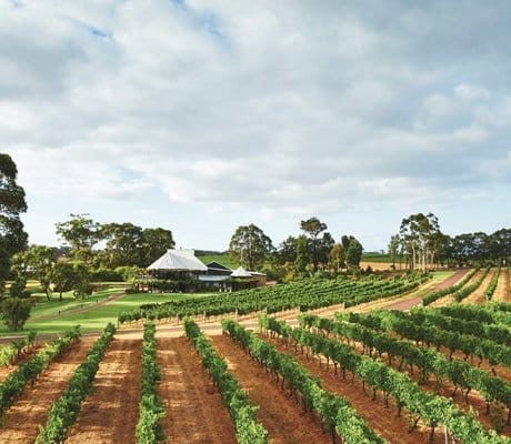 Voyager estate in the margaret river region