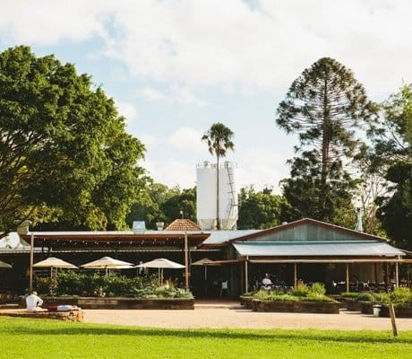 The farm in byron bay