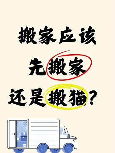 搬家应该先搬家还是搬猫？