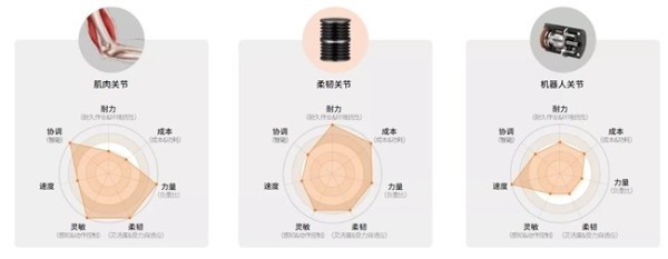 CES新物种（下）：中国原创，世界领先——通用软体机器人技术赋能全球生产力