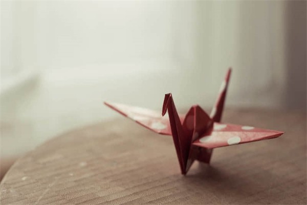 适合学生的短发-不用打理的短发学生