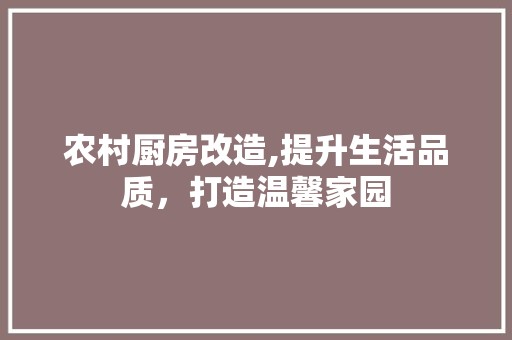 农村厨房改造,提升生活品质，打造温馨家园 客厅