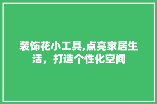 装饰花小工具,点亮家居生活，打造个性化空间 空间布局