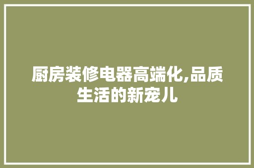 厨房装修电器高端化,品质生活的新宠儿 装饰资讯