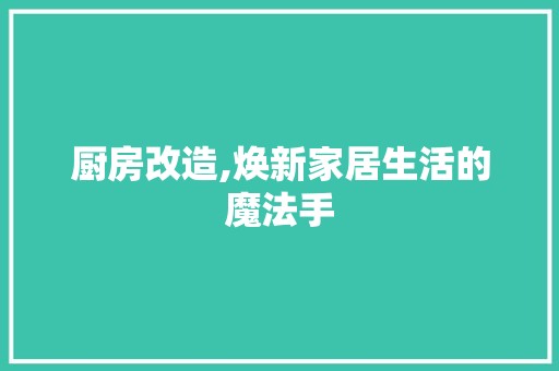 厨房改造,焕新家居生活的魔法手 人力资源