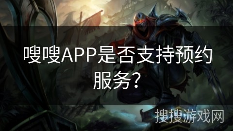 嗖嗖APP是否支持预约服务？