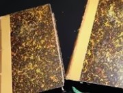 人的平均年龄是多大