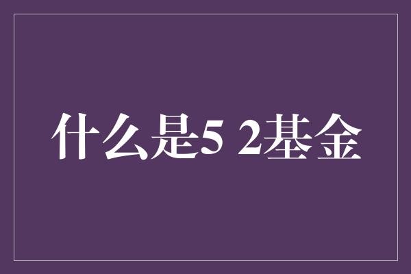  5.2基金：一场基金界的生活平衡艺术