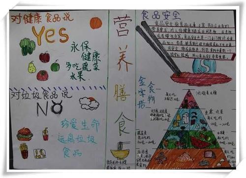 老年人的营养餐搭配手抄报 营养手抄报