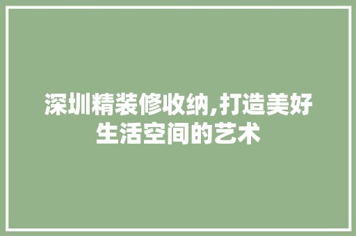 深圳精装修收纳,打造美好生活空间的艺术 室外设计