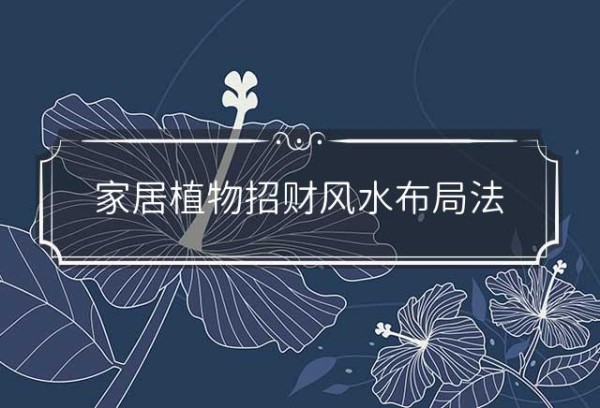 家居植物招财风水布局法